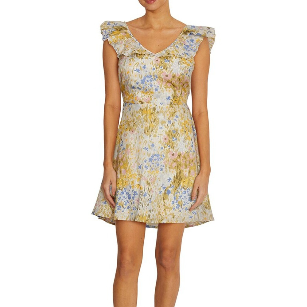 Wildfox Blair Deep V Ruffle Shoulder Painted Flower Womens Mini Dress New XS